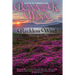 Reckless Wind