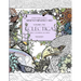 Eclectica (New Edition): Adult Colouring Escapism