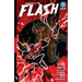 Absolute Flash Vol. 2: Still Point