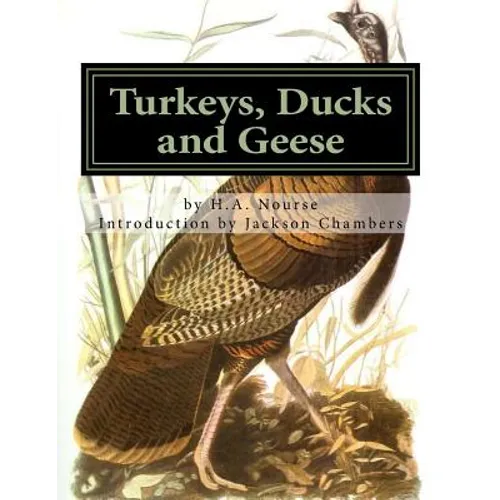 Turkeys, Ducks and Geese: Breeding, Hatching and Rearing For Pleasure or Profit