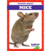 Mice