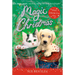 Magic Christmas