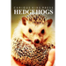 Hedge Hogs - Curious Kids Press: Kids book about animals and wildlife, Children's books 4-6