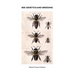 Bee Genetics and Breeding