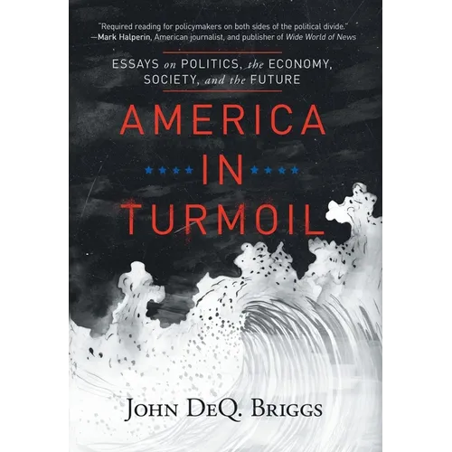 America in Turmoil: Essays on Politics, the Economy, Society, and the Future