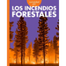Curiosidad Por Los Incendios Forestales