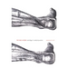 The Body Multiple: Ontology in Medical Practice
