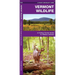 Vermont Wildlife: A Folding Pocket Guide to Familiar Animals