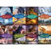 Phantom Stallion Untamed Collected Set: The Wild One; Mustang Moon; Dark Sunshine; The Renegade; Free Again; The Challenger; Desert Dancer; Golden Gho