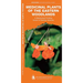 Medicinal Plants of the Eastern Woodlands: A Folding Pocket Guide to Familiar Species