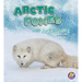 Arctic Foxes Are Awesome