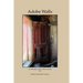 Adobe Walls: an anthology of New Mexico's poetry