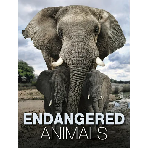 Endangered Animals