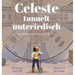 Celeste tunnelt unterirdisch