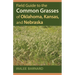Field Guide to the Common Grasses of Oklahoma, Kansas, and Nebraska
