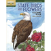 State Birds and Flowers Coloring Book