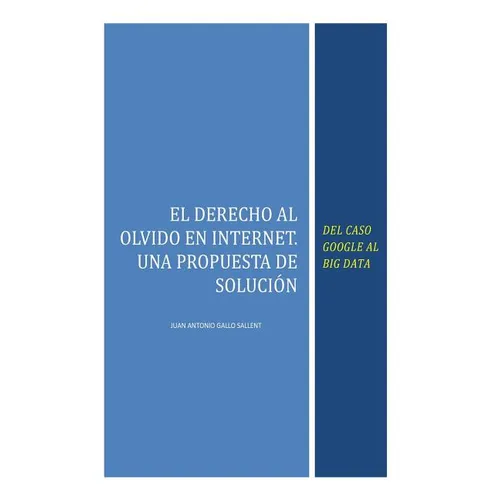 El Derecho al Olvido en Internet: Del caso Google al Big Data