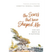 The Scars That Have Shaped Me: How God Meets Us in Suffering