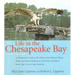 Life in the Chesapeake Bay