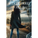 Shattered Falls