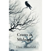 Crows at Midnight