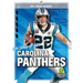 The Story of the Carolina Panthers