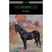 Black Beauty (Illustrated by Robert L. Dickey)