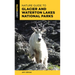 Nature Guide to Glacier and Waterton Lakes National Parks