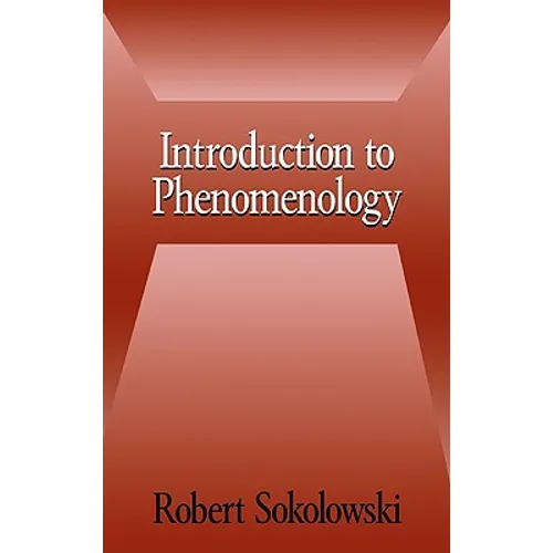 Introduction to Phenomenology