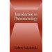 Introduction to Phenomenology