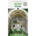 Secret Rome