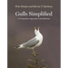 Gulls Simplified: A Comparative Approach to Identification
