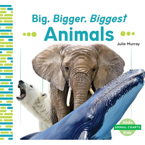 Big, Bigger, Biggest Animals