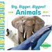 Big, Bigger, Biggest Animals