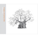 A Legacy of Ancient Oaks