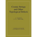 Cosmic Strings and Other Topological Defects