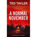 A Normal November: A Cold Case Murder Mystery Series