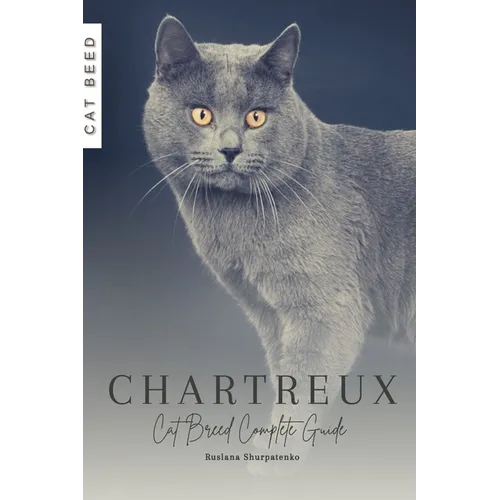 Chartreux: Cat Breed Complete Guide