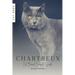 Chartreux: Cat Breed Complete Guide