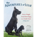 The Adventures of Louie: From a Playful Great Dane Puppy to a Gentle Giant