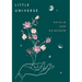 Little Universe