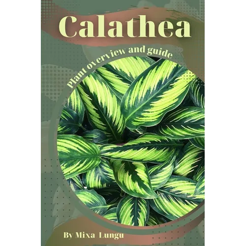 Calathea: Plant overview and guide