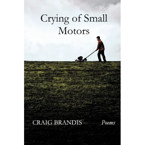 Crying of Small Motors