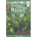 Healing a Grieving Heart: a grief journey in poetry