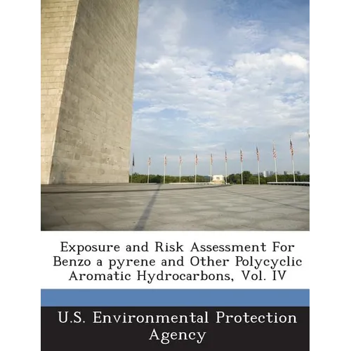 Exposure and Risk Assessment for Benzo a Pyrene and Other Polycyclic Aromatic Hydrocarbons, Vol. IV