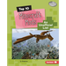Top 10 Minecraft Mods: An Unofficial List