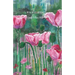 Wild Earth: & Other Sonnets