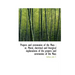 Prayers and ceremonies of the Mass: or, Moral, doctrinal and liturgical explanations of the prayers