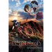 Switchback