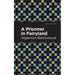 A Prisoner in Fairyland